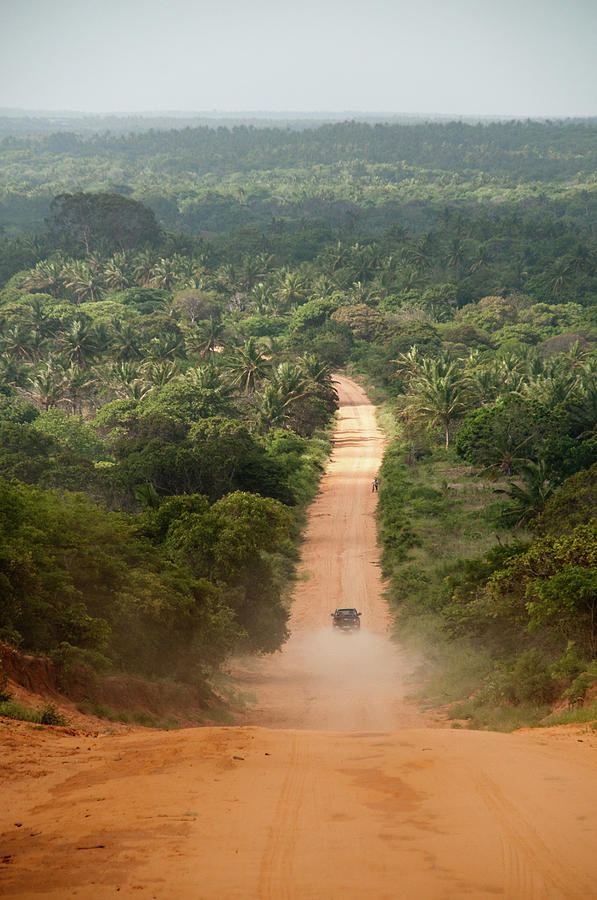 Road Through Jungle,  Zavora, Mozambique Photograph by Rainer Schimpf