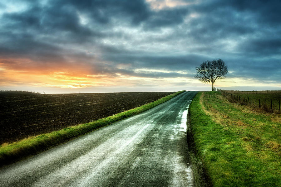 Road Through Rural Landscape Photograph by Benwaters