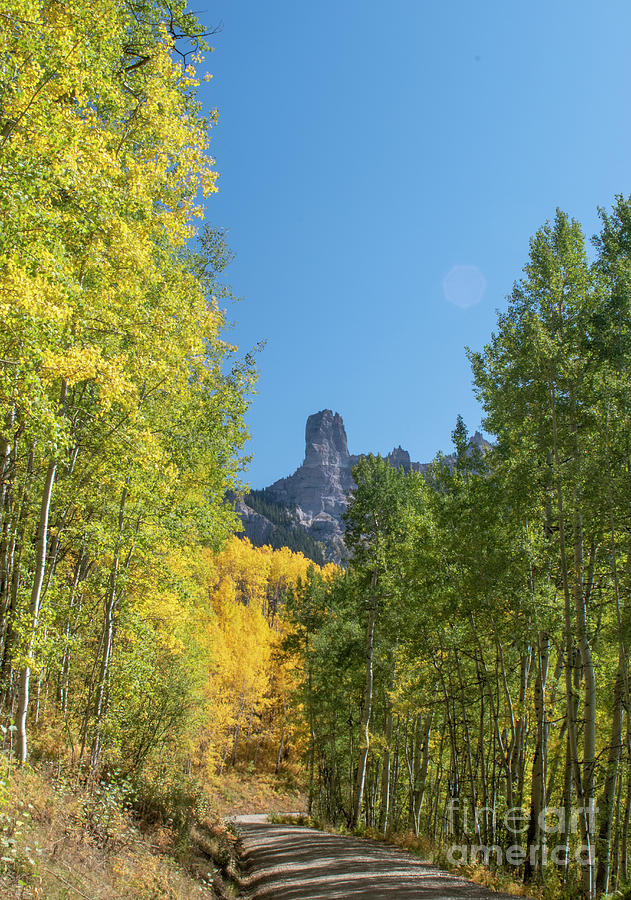 Road To Chimney Rock Photograph