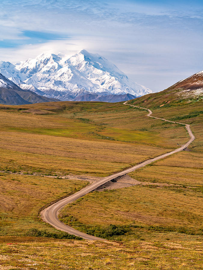 Road To Denali Photograph by Ariel Ling