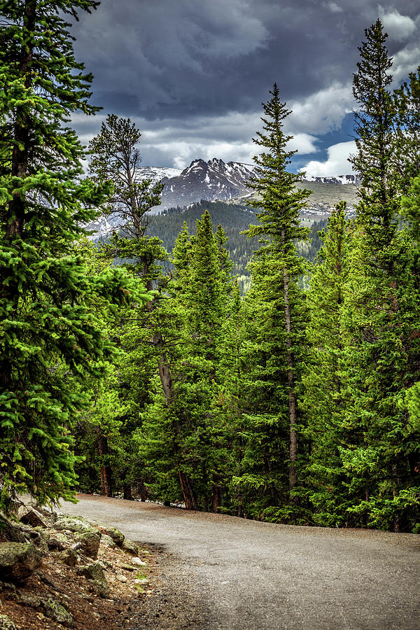 Road to Echo Lake, Colorado by Jeanette Fellows Road to Echo Lake, Colorado by Jeanette Fellows