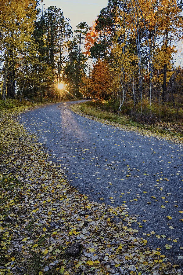 Road to Fall Photograph by Chance Kafka