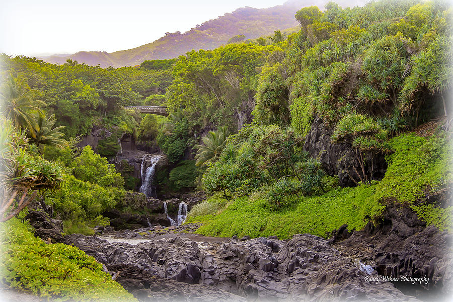 Road to Hana in Maui Hawaii Photograph by Randy Wehner