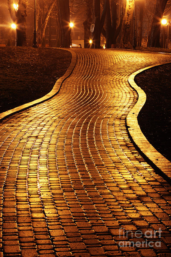 Ukrainian Photograph - Road To Mariinsky Park At Night In by Taras Verkhovynets Ukrainian Photograph - Road To Mariinsky Park At Night In by Taras Verkhovynets