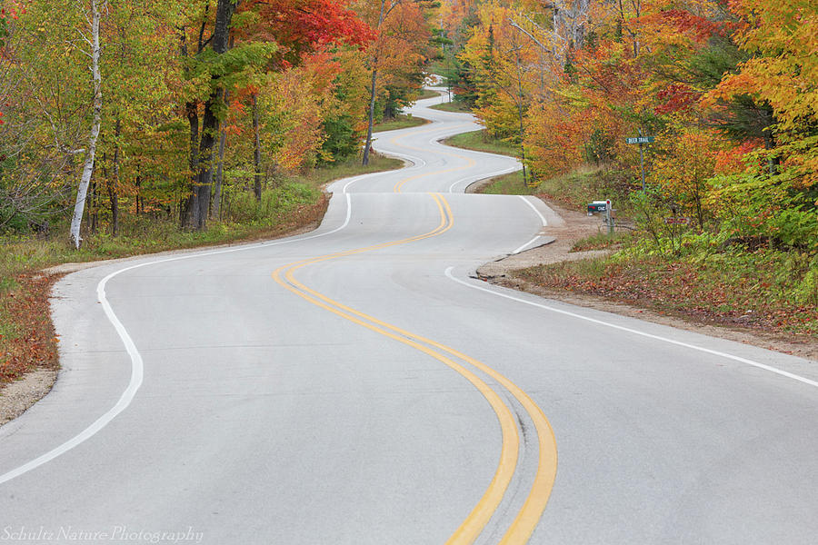Road to Northport by Paul Schultz Road to Northport by Paul Schultz