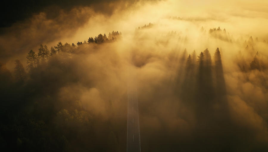 Road To Nowhere Photograph by Ales Krivec