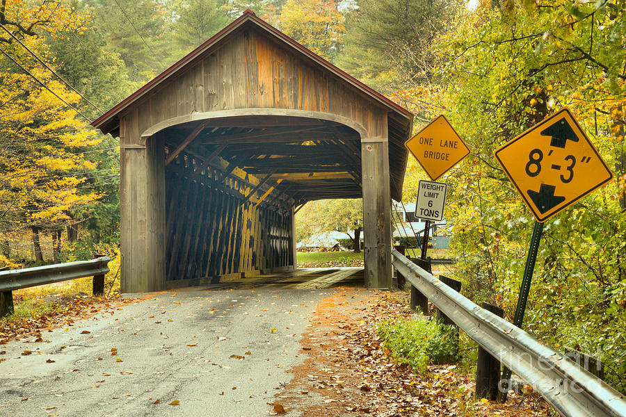 Road To The Coombs Covered Bridge Photograph by Adam Jewell