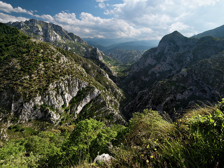 Road To The Picos De Europa, Spain Photograph by William White