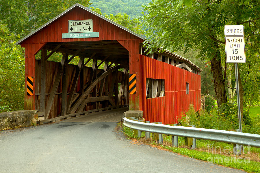 Road To The Rices Covered Bridge Photograph by Adam Jewell