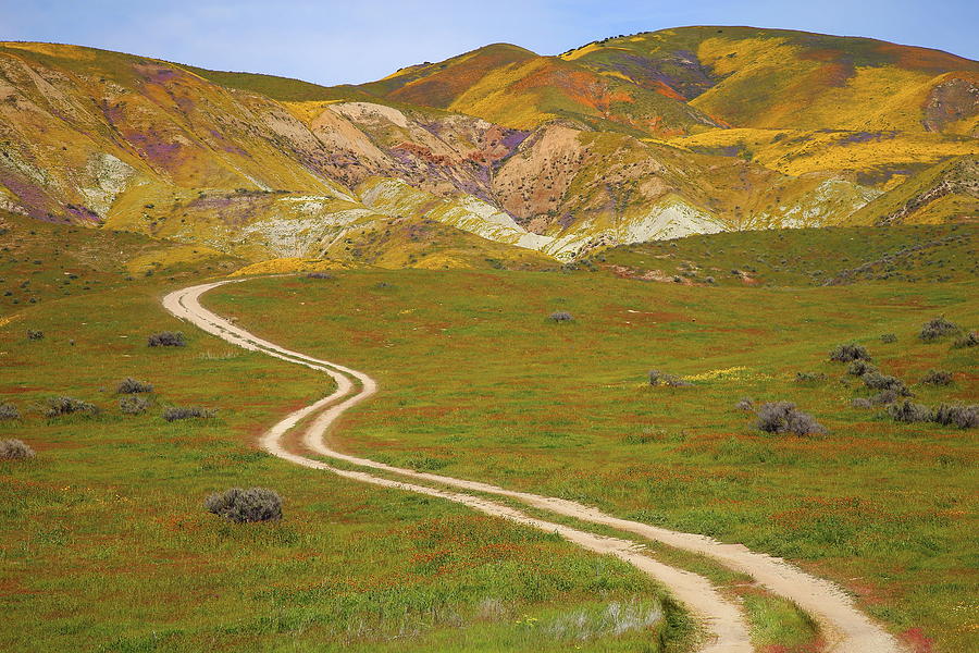 Road to wildflowers of the Temblor Range at Carrizo Plain National Monument Photograph by Jetson Nguyen