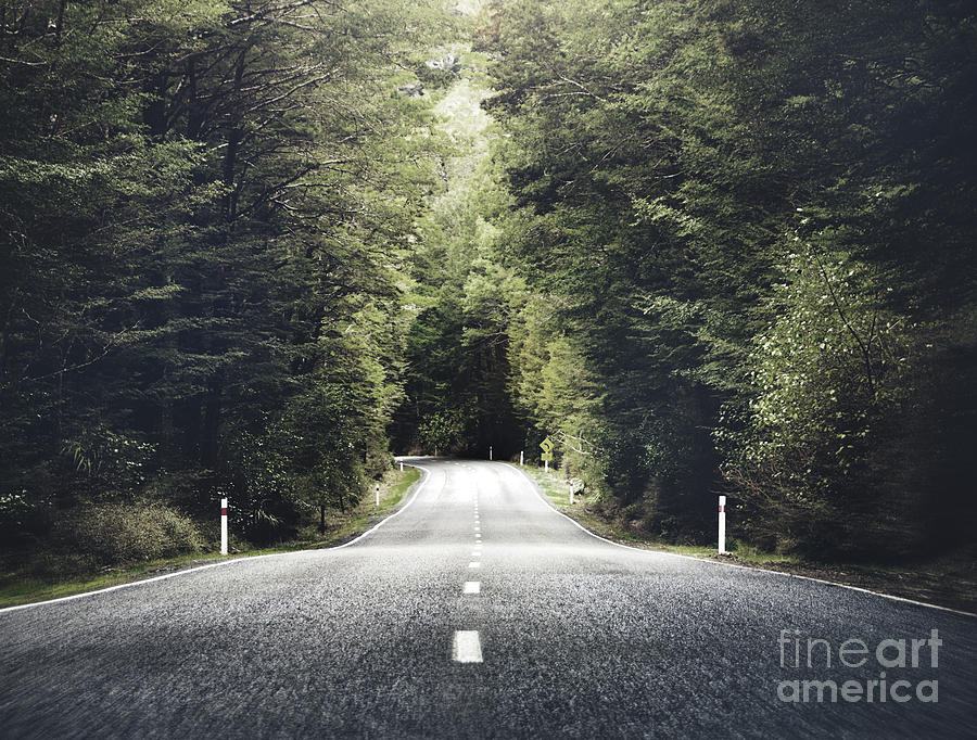 Country Photograph - Road Travel Journey Nature Scenic by Rawpixel.com Country Photograph - Road Travel Journey Nature Scenic by Rawpixel.com