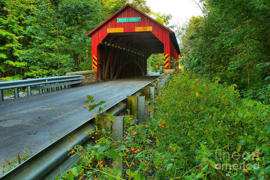 Road Up To The Books Covered Bridge Photograph by Adam Jewell