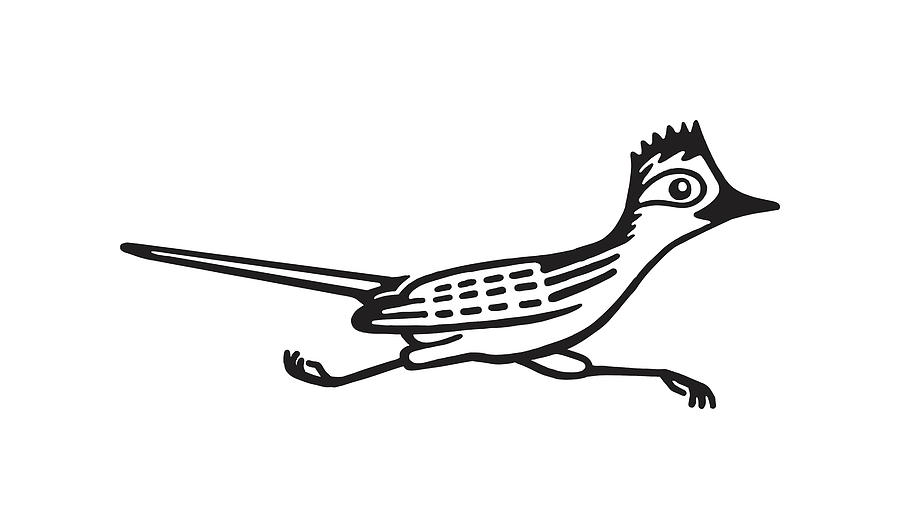 Black And White Drawing - Roadrunner by CSA Images