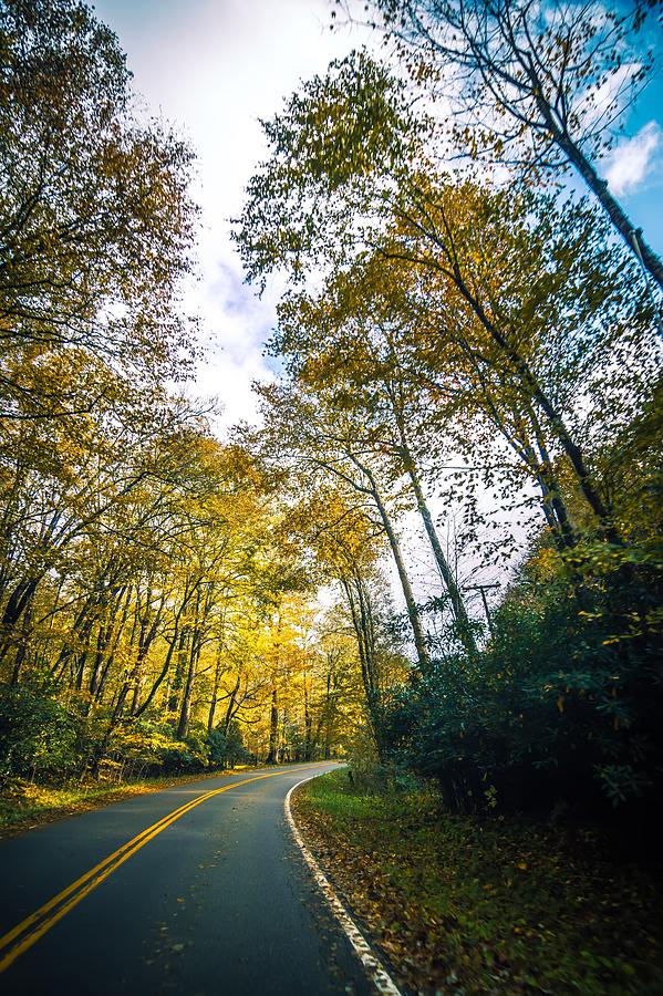Roads Surrounded By Autumn Leaves Season In Damascus Virginia Photograph by Alex Grichenko
