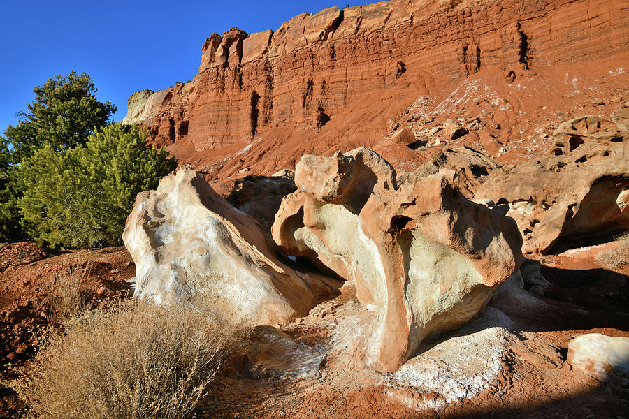 Roadside Eroded Boulders in Capitol Reef NP Photograph by Ray Mathis