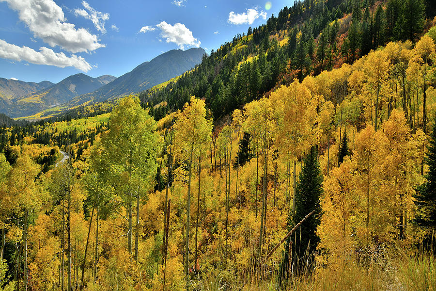 Roadside Fall Colors while Ascending to McClure Pass Photograph by Ray Mathis