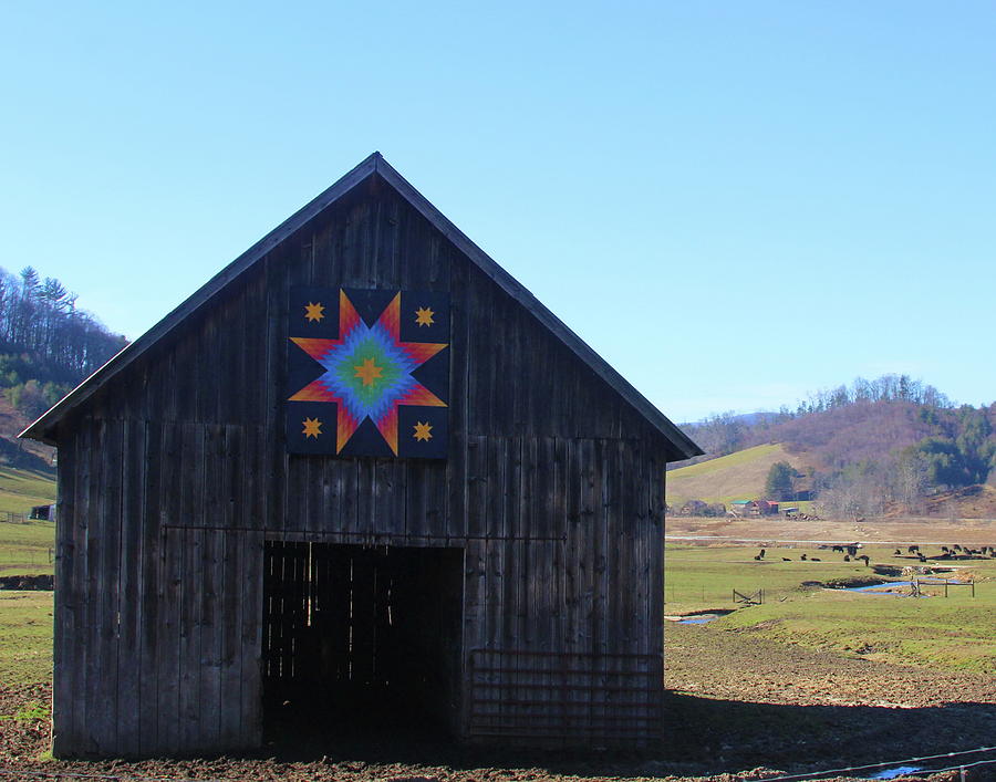 Roadside Rustic Barn 6 Photograph by Cathy Lindsey - Fine Art America