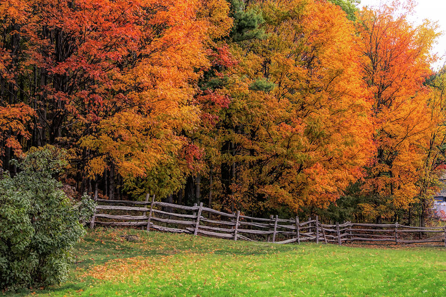 Roadside View Of Vermont Fall Colors Photograph