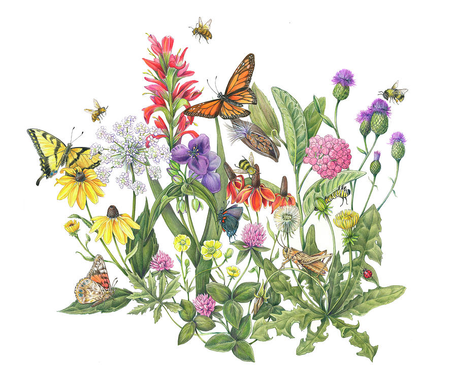 Butterfly Painting - Roadside Weeds by Mindy Lighthipe- Artist Llc