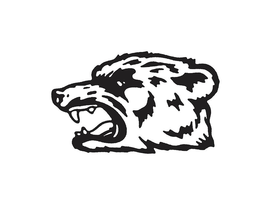 Black And White Drawing - Roaring Bear by CSA Images