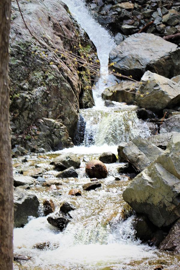 Roaring Brook Falls Photograph by Carol McGrath - Fine Art America