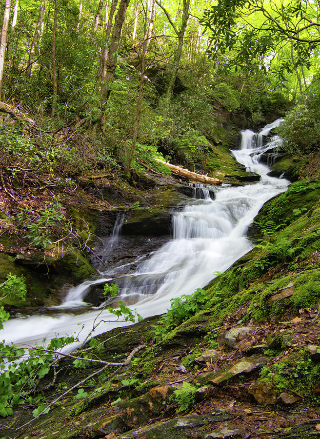 Roaring Creek Falls Photograph by Norma Brandsberg