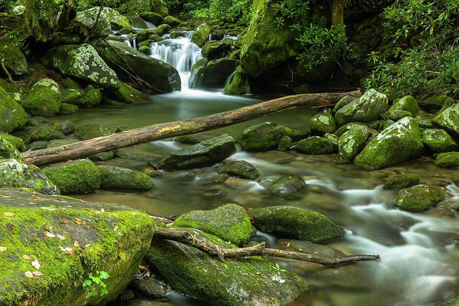 Roaring Fork Creek 2 Photograph by John Brueske - Fine Art America