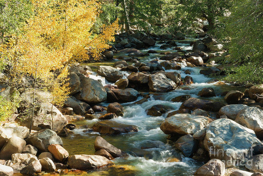 Kings Canyon Photograph - Roaring River  1.7783Lu by Stephen Parker