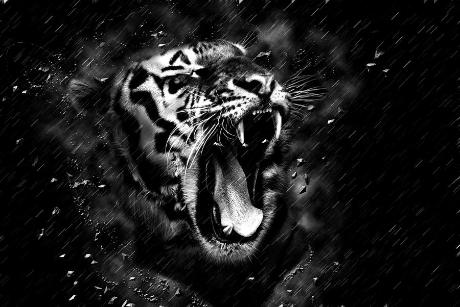 Roaring Tiger in Black and White Painting by Brigitte Werner