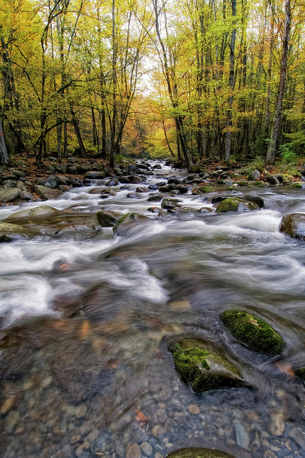 Roaring Waters II Photograph by Danny Head - Fine Art America