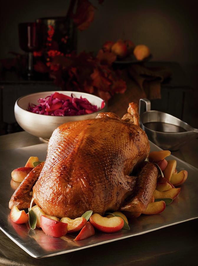 Roast Goose With Apples And Red Cabbage Photograph by Lingwood, William ...