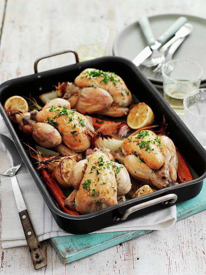 Roast Spring Chickens With Lemons, Onions And Sliced Peppers Photograph by Gareth Morgans