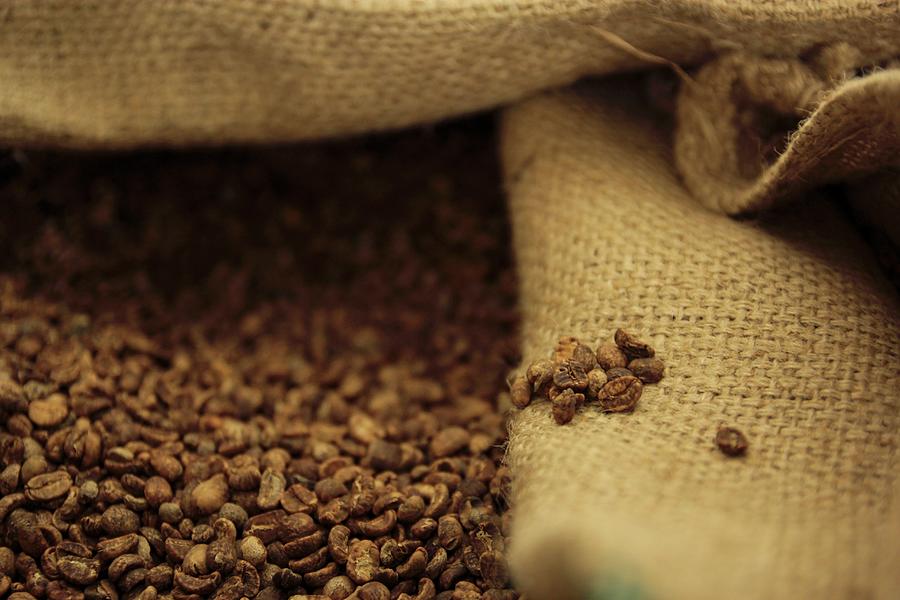 Roasted Brown Coffee Beans In A Light Brown Jute Sack In The Humidor At A Coffee Roasting House Photograph by Vivi Dangelo