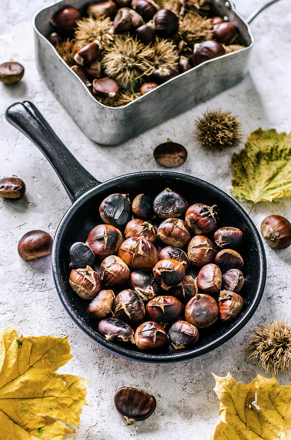 Roasted Chestnuts In A Frying Pan, Raw Chestnuts, Shelled And Unshelled, Yellow Leaves Photograph by Gorobina