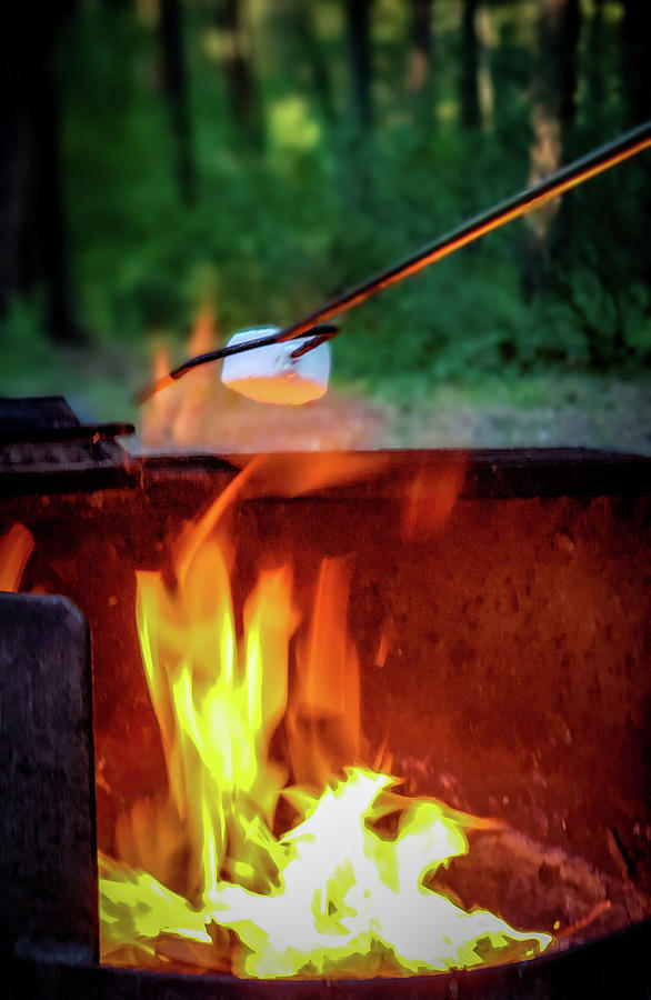 Roasting marshmallows Photograph by Thomas Nay