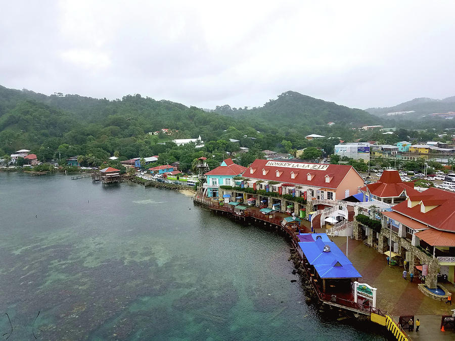 Roatan Honduras town and rolling hills Photograph by Danielle Hepler