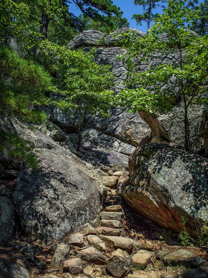 Robbers Cave Steps  Photograph by Buck Buchanan