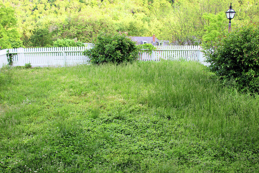 A Front Yart Of Green And White Photograph