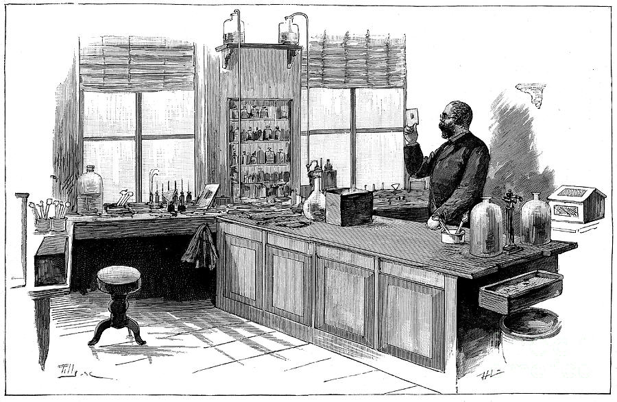 Robert Koch 1843-1910, German Drawing by Print Collector