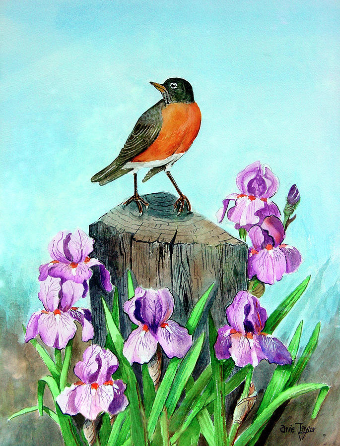 Robin Painting - Robin by Arie Reinhardt Taylor