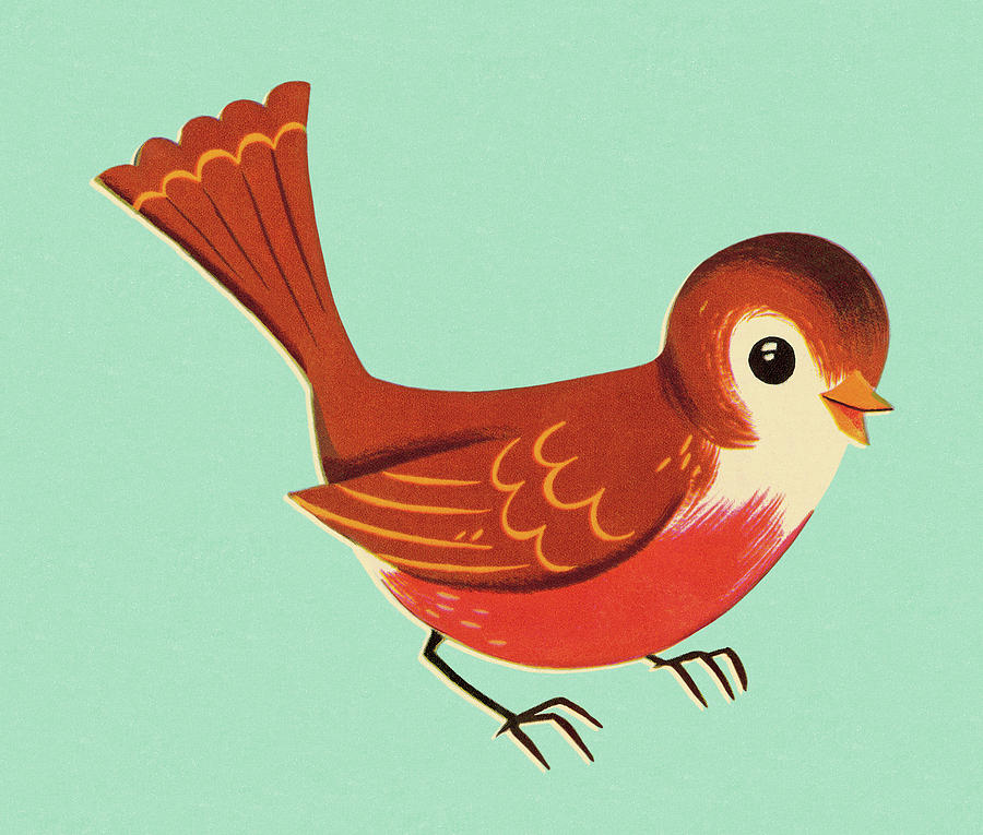 Robin Drawing - Robin Bird by CSA Images