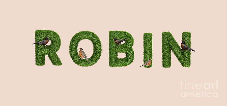 Robin by Cynthia Leaphart Robin by Cynthia Leaphart