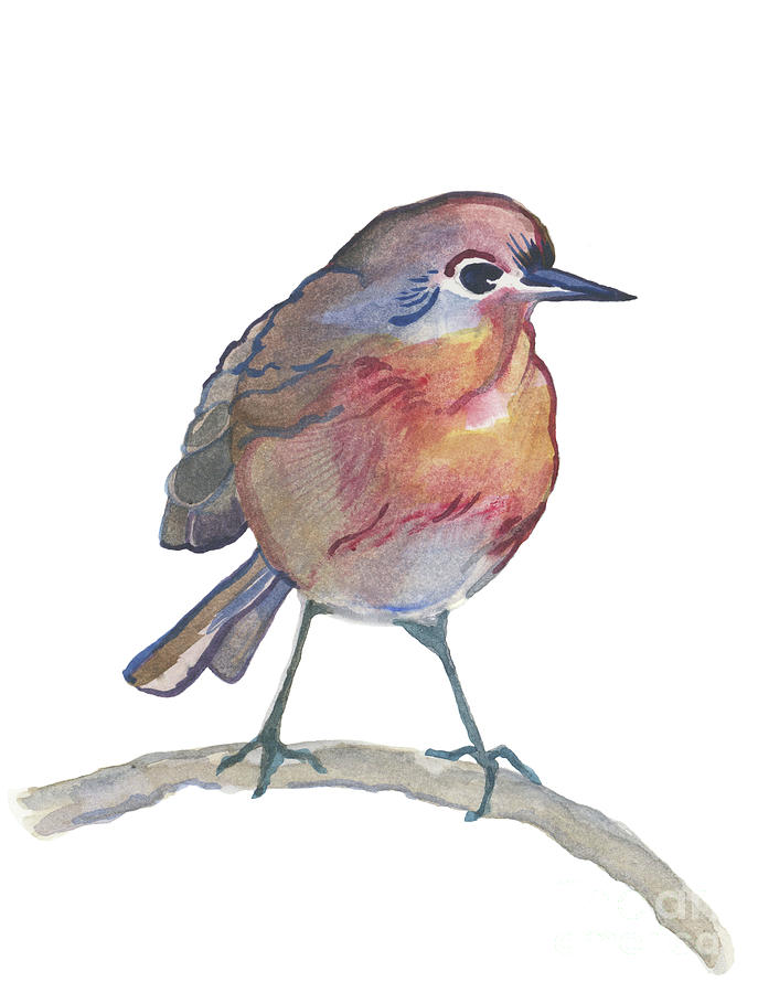 Robin Painting by Elizabeth Rider - Fine Art America