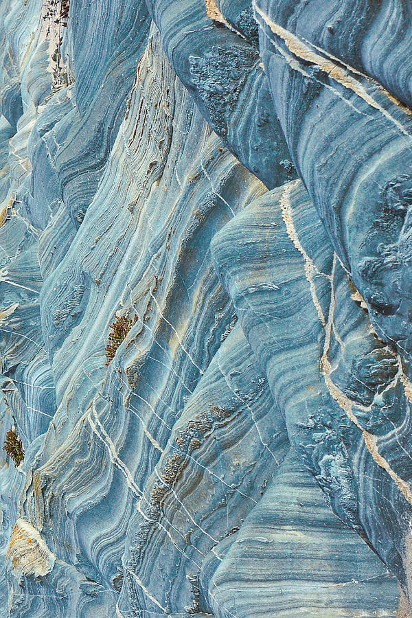 Rock Abstracts of Nelson Bay #1 by Lexa Harpell Rock Abstracts of Nelson Bay #1 by Lexa Harpell