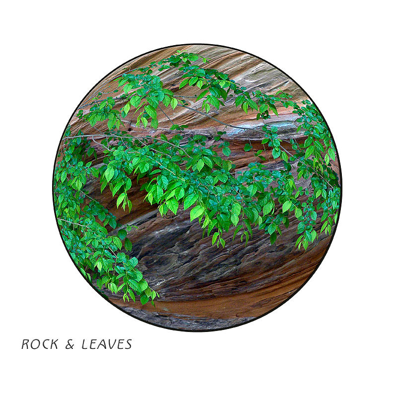 Zion Photograph - Rock and Leaves by Peter Anger Zion Photograph - Rock and Leaves by Peter Anger