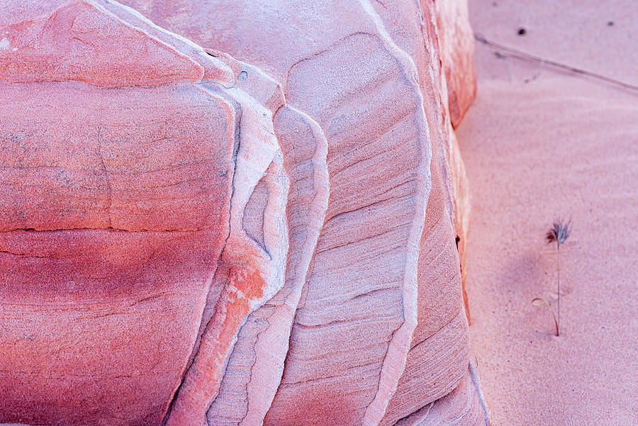 Rock Art Valley Of Fire State Park #1 Photograph by Joseph S Giacalone