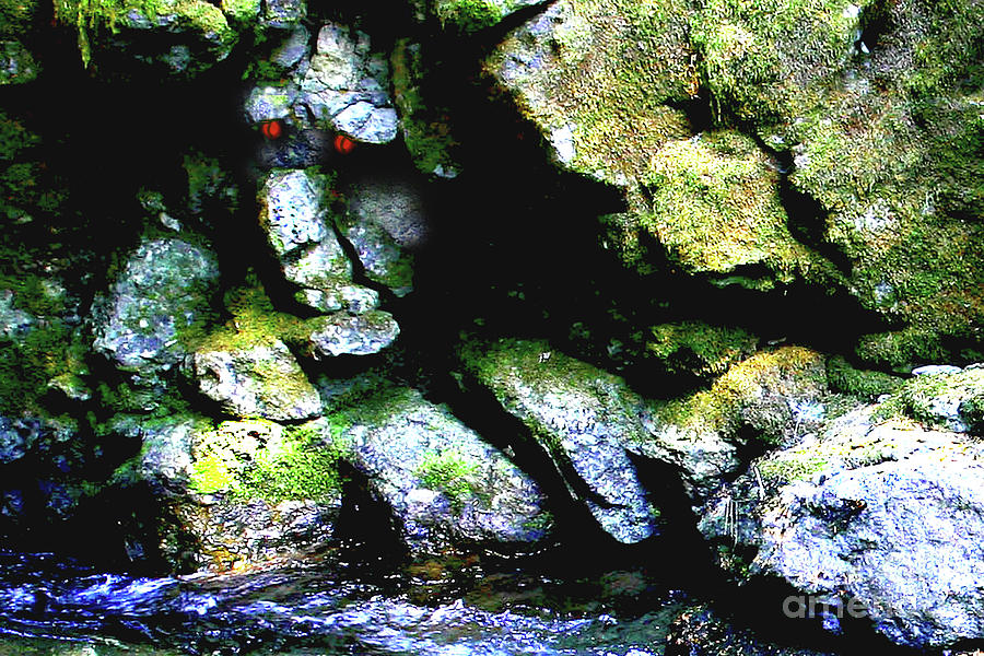 Breathing....Waiting....Rock Face Photograph by Rich Collins