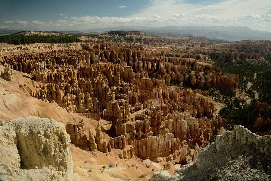 Rock Formation Of Bryce Canyon, Utah Photograph by Ned Frisk Photography