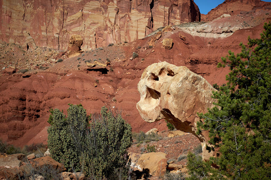 Rock Formation Photograph by Paul Freidlund