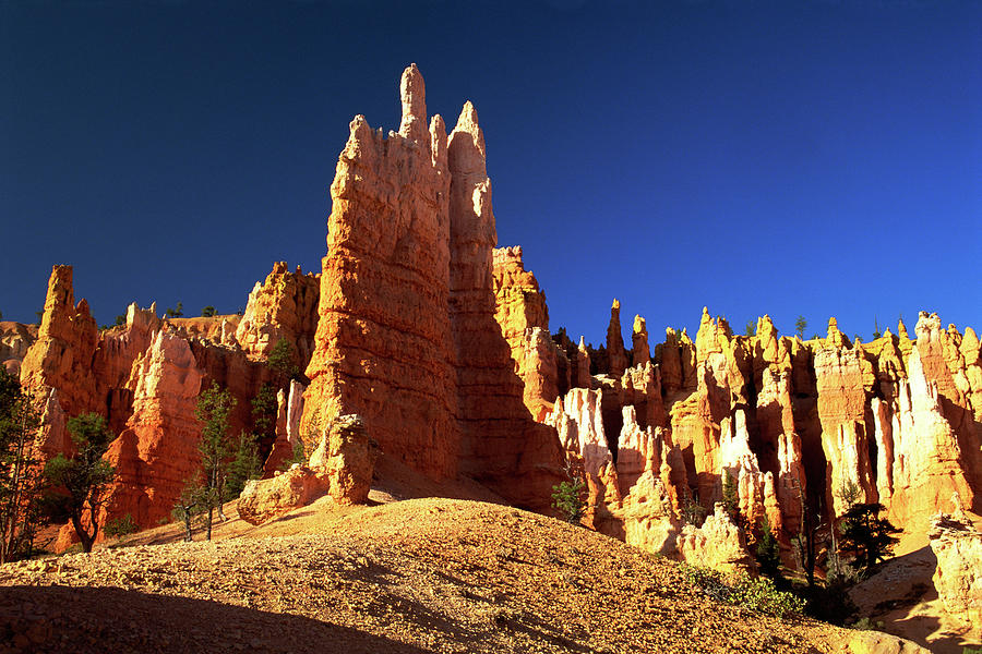 Rock Formations In Bryce Canyon Photograph by Comstock Images